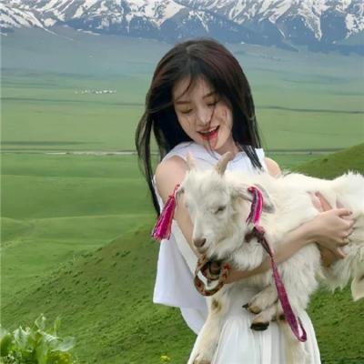 猫片之无喵生还