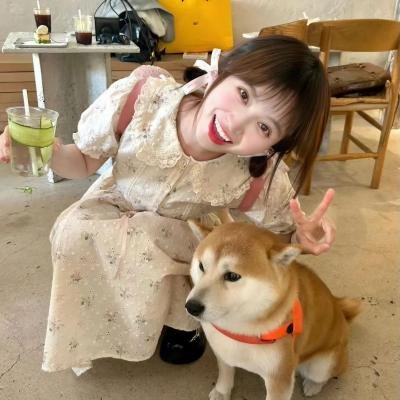 恋爱前辈说